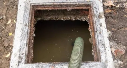 Camion vidange Algeria 