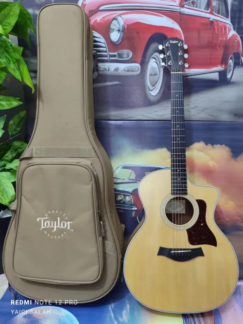 Guitare TAYLOR AVEC SA HOUSSE 