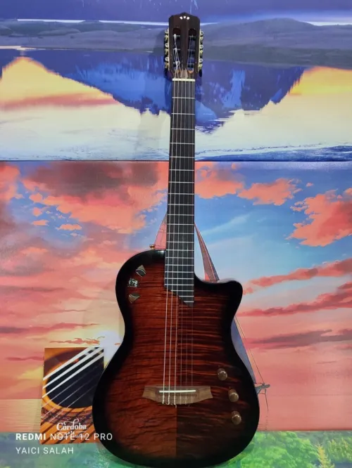  Guitare Cordoba stage electro-classique neuve avec sa housse.