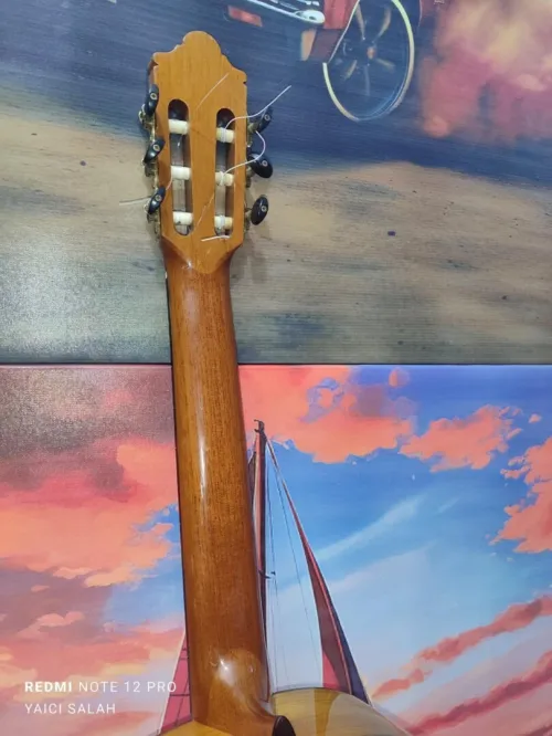 12 Guitares Classique