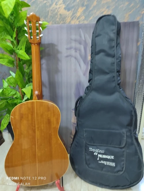 12 Guitares Classique