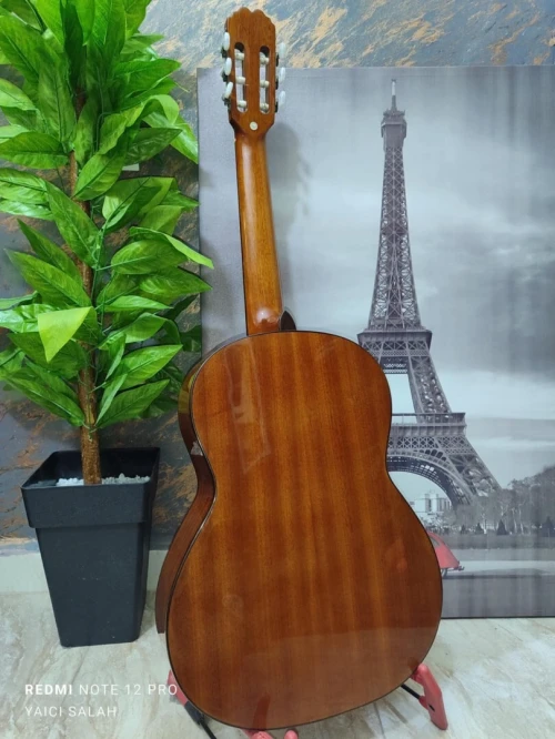 12 Guitares Classique
