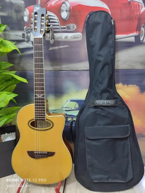 Guitare Eko electro-classique.