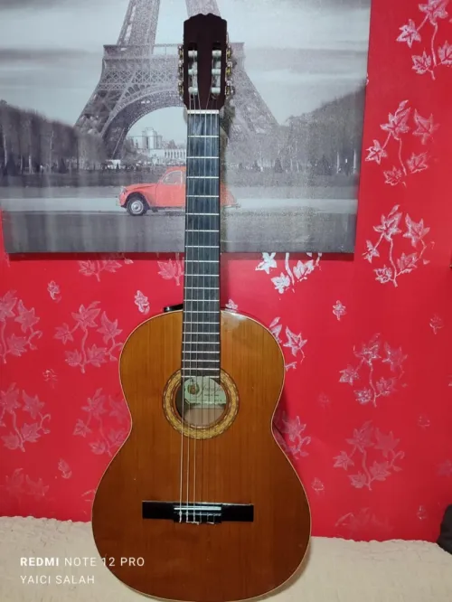 12 Guitares Classique