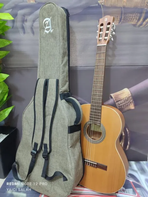 12 Guitares Classique