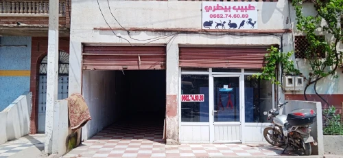 Location Local Alger El harrach 6