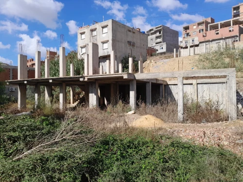Vente Villa Alger Douera