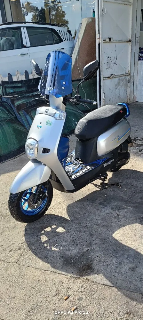 Cucci Cucci 2025