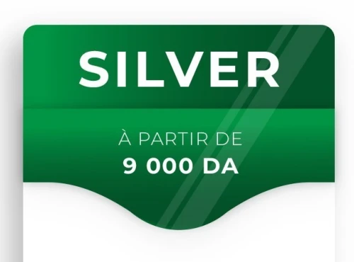 Abonnement Silver - Immobilier 