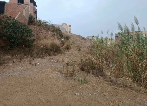 Vente Terrain Alger Bouzareah