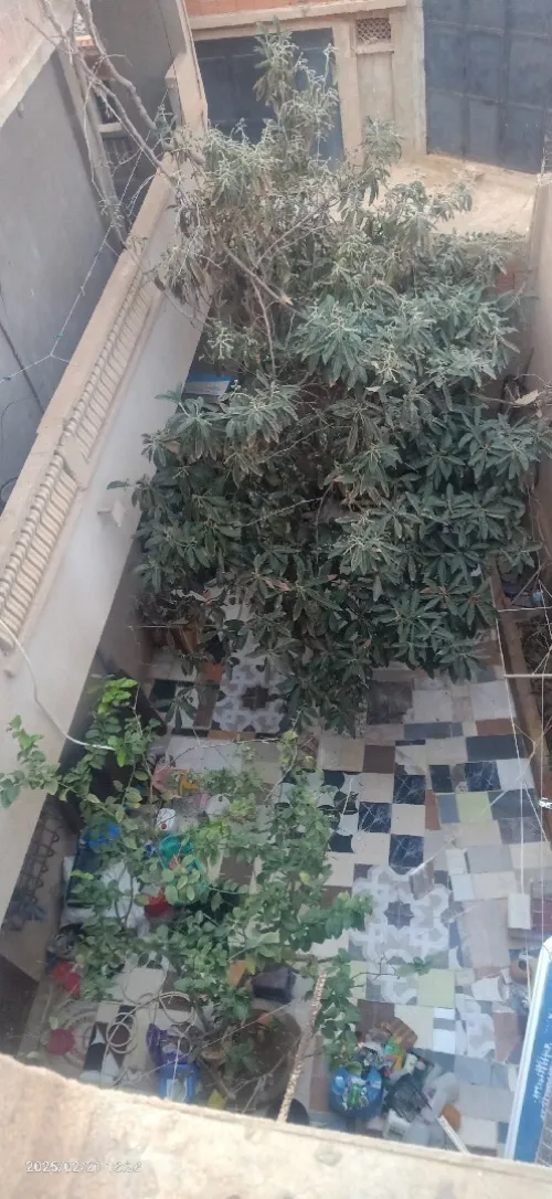 Vente Villa Oran Bousfer
