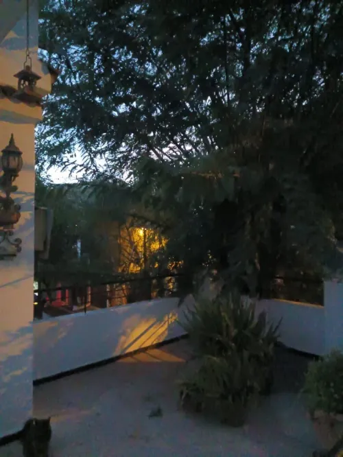 Location Niveau de villa F4 Alger Birkhadem