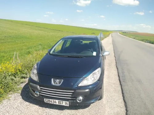 Peugeot 307 2007 