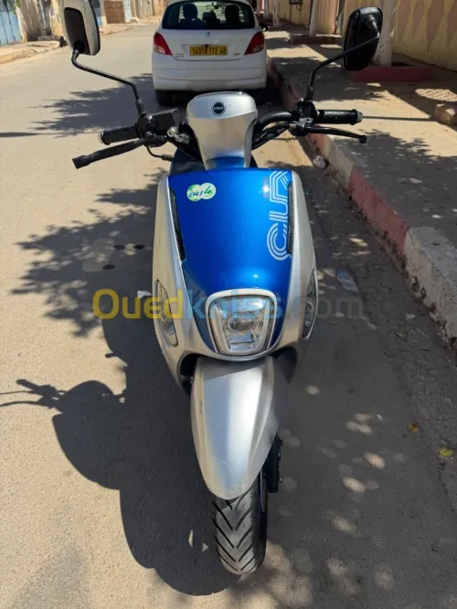 Vms Cuxi 2 2023