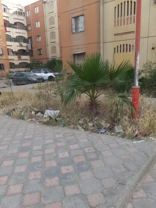 Vente Appartement F3 Médéa Medea