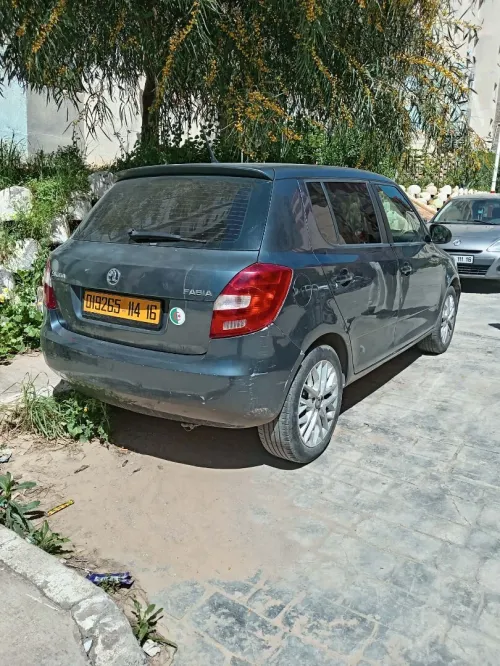 Skoda Fabia 2014 Fresh