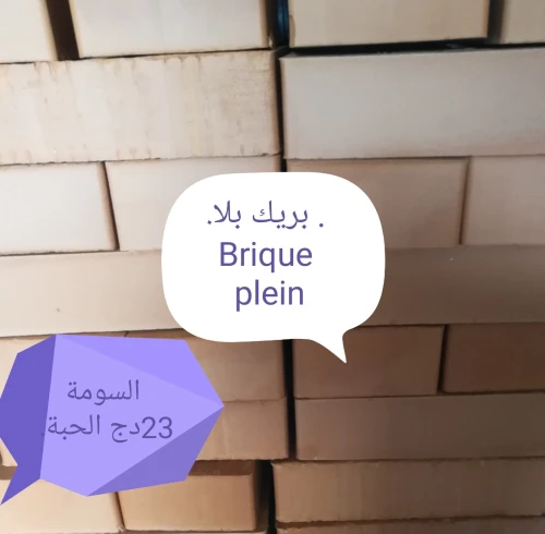 Briques plein. 