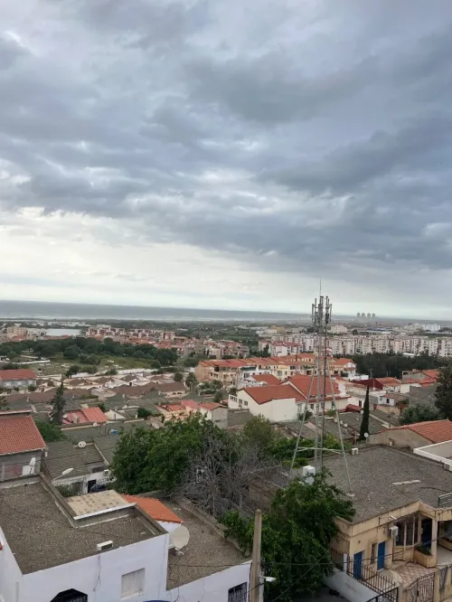 Vente Appartement F3 Alger Zeralda