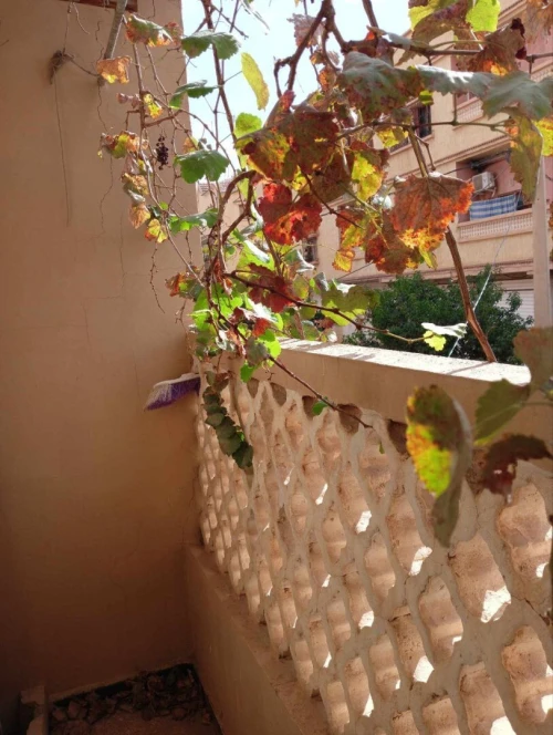 Vente Villa Saïda Ouled khaled
