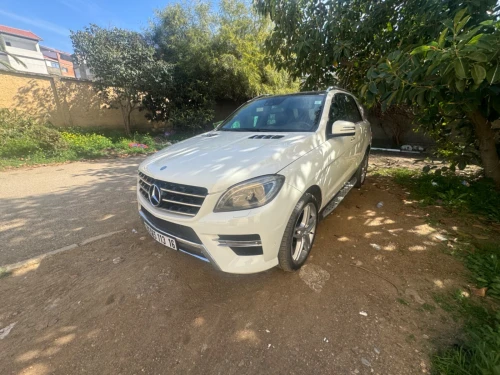 Mercedes ML 2013 Disagino