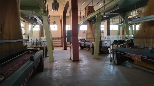 Vente Hangar - Usine Tlemcen Zenata