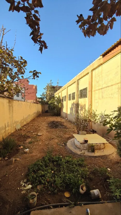 Vente Hangar - Usine Tlemcen Zenata