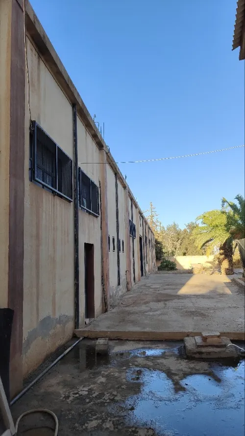 Vente Hangar - Usine Tlemcen Zenata
