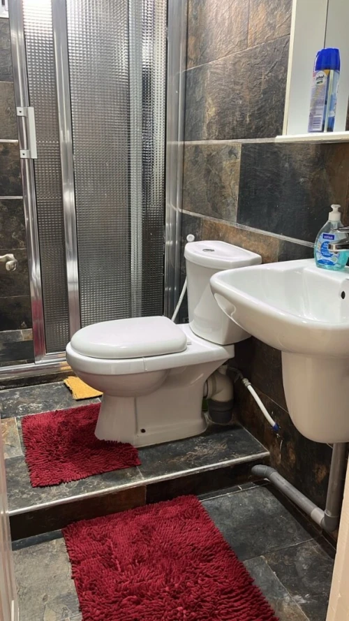 Location Appartement Alger Alger centre