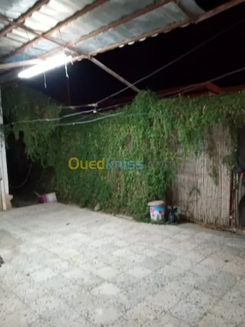 Vente Appartement F3 Alger Les eucalyptus