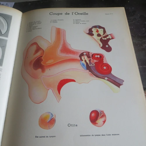 Livre Encyclopédie Medical du XXè siècle Fernand  Nathan LIQUIDATION
