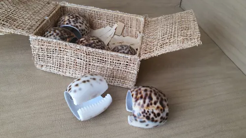 Très jolie coffret de 6 ronds à serviettes de table en coquillage Philippine LIQUIDATION