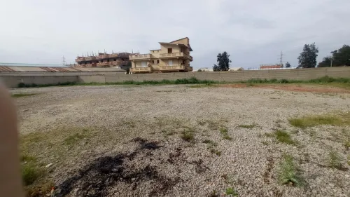Location Terrain Boumerdès Boudouaou