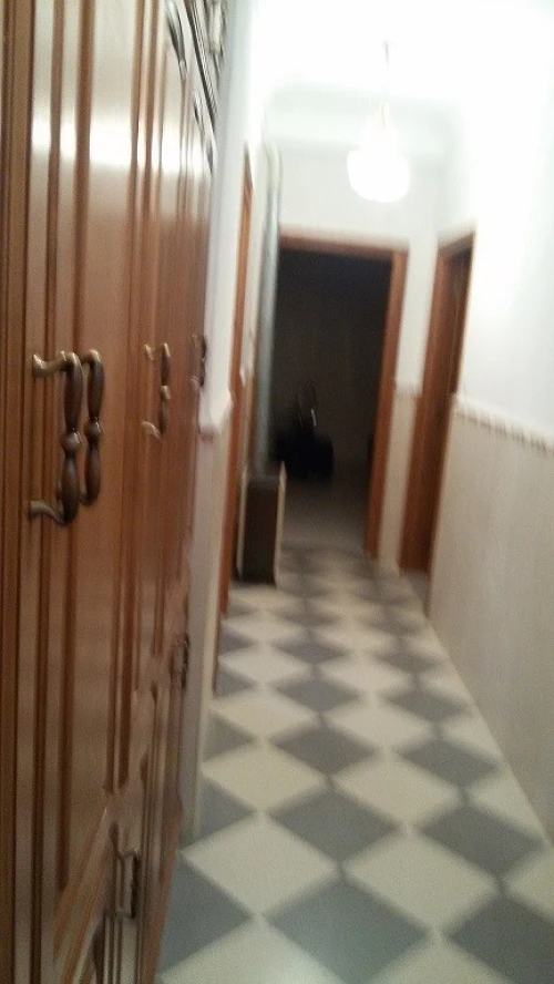 Location Appartement Tipaza Douaouda