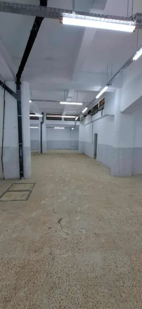 Location Local Alger Alger centre