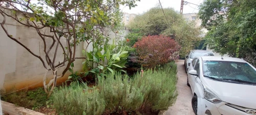 Location Appartement F4 Alger Kouba