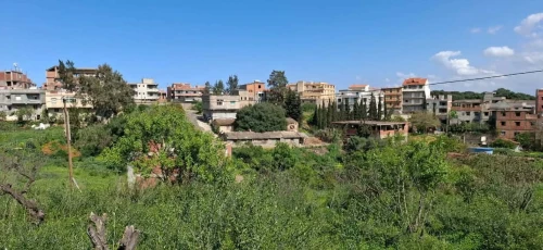 Vente Terrain Alger Saoula