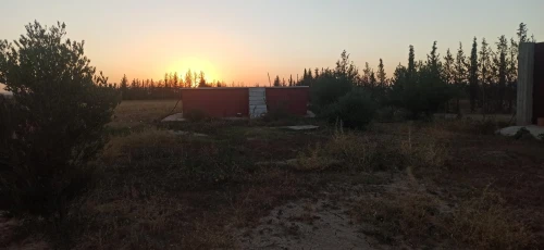 Vente Terrain Agricole Khenchela Remila