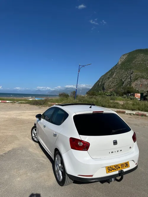 Seat Ibiza 2011 Loca