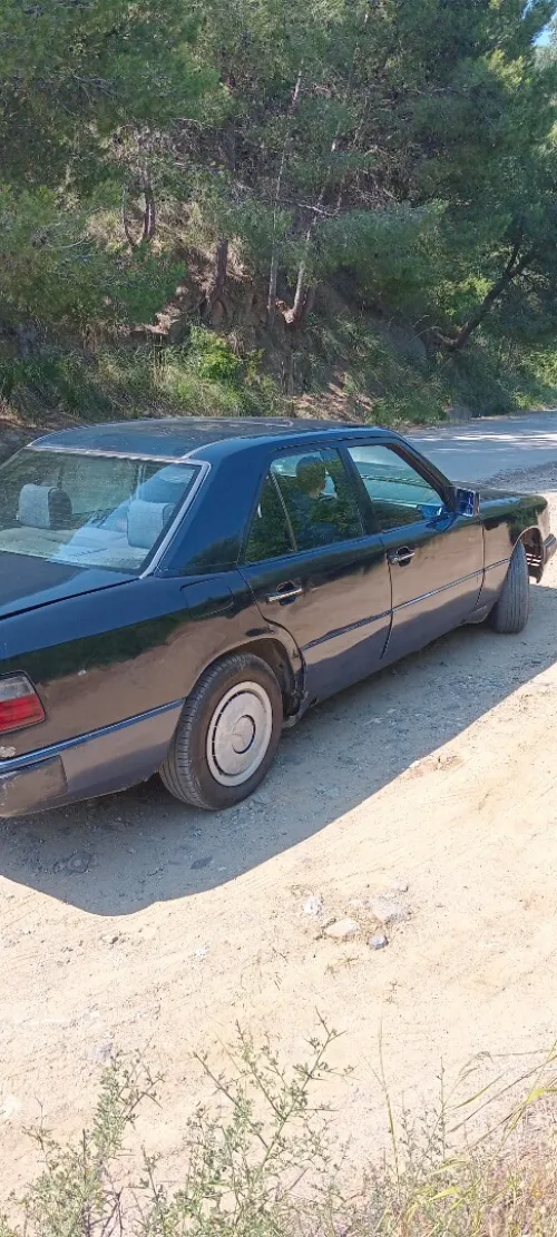 Mercedes 124 1990 250d
