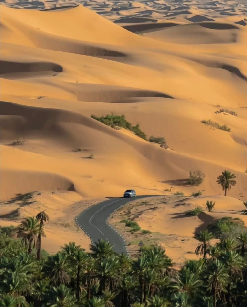 Voyage Taghit par Avion MARS & AVRIL
