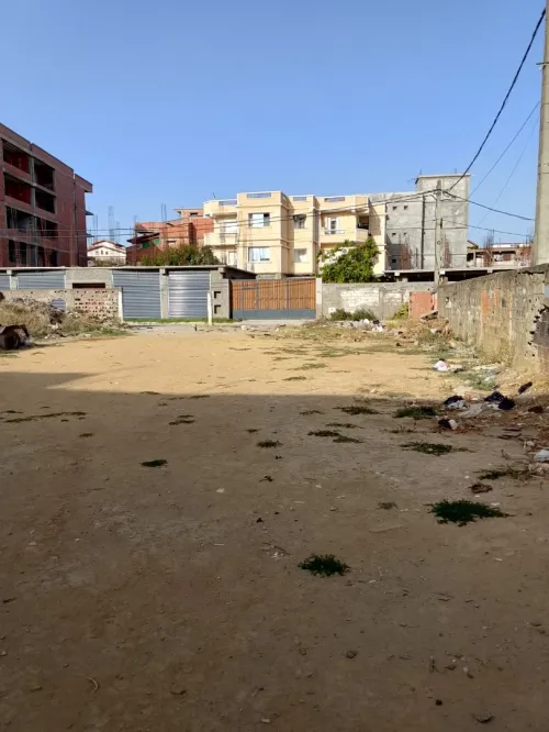 Vente Terrain Alger Reghaia
