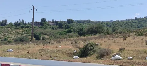 Vente Terrain Jijel El aouana