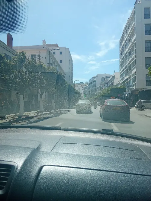 Location Local Alger El biar