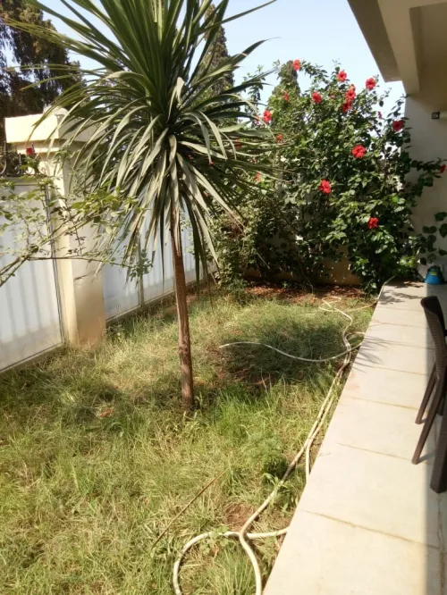 Location Appartement F3 Alger Staoueli