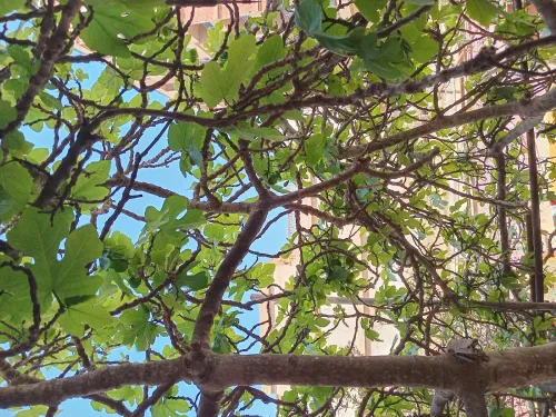 Vente Villa Oran Bir el djir