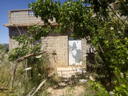 Vente Terrain Agricole Tlemcen Ain fezza