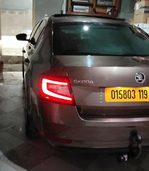 Skoda Octavia 2019 Clever