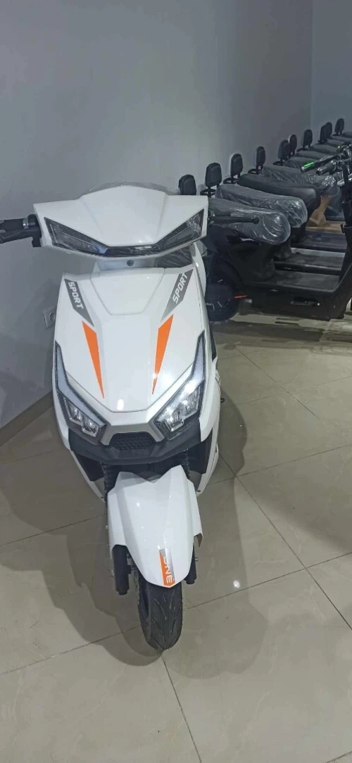 Dora Rada 2025