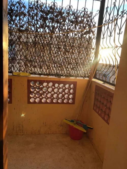 Vente Appartement F3 Chlef Tenes