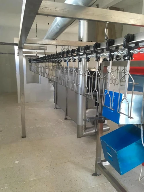 Abattoir chaine abattage poule